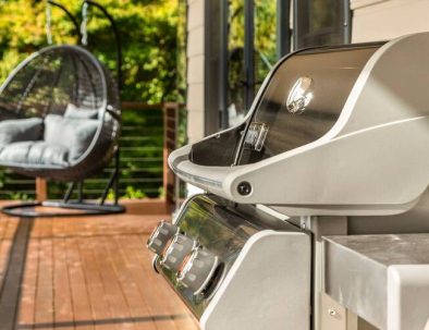 Egg chair & BBQ: Olinda accommodation