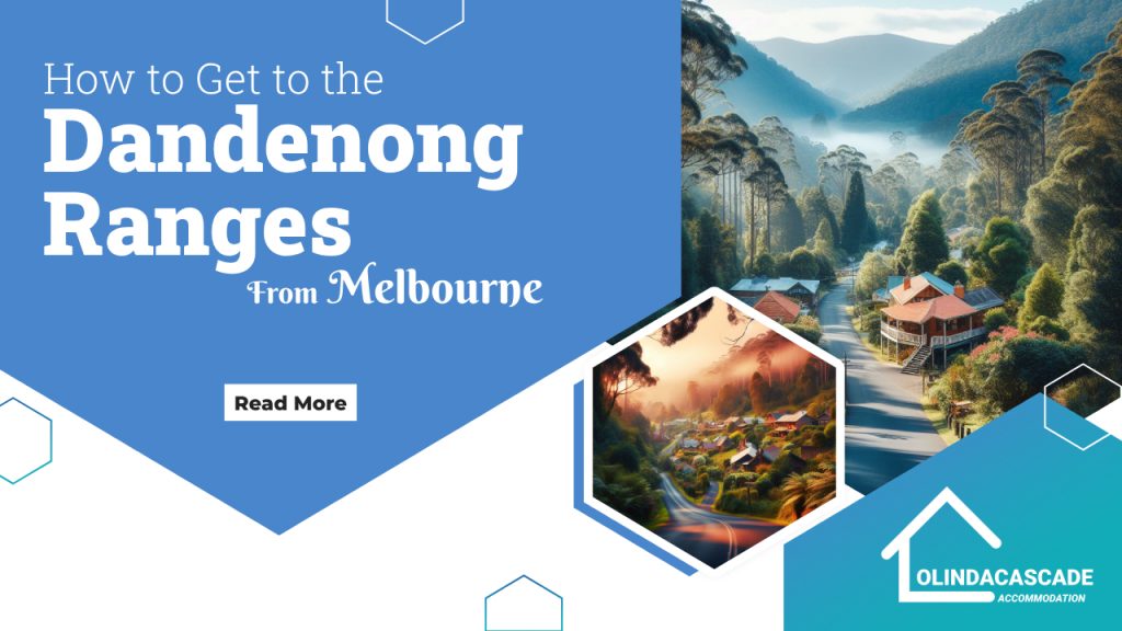 How to Get to the Dandenong Ranges from Melbourne