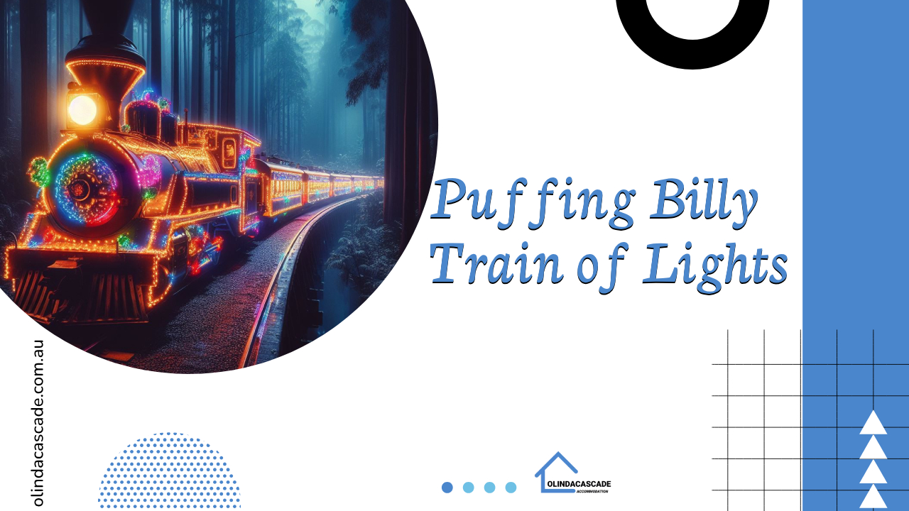 Puffing Billy Train of Lights