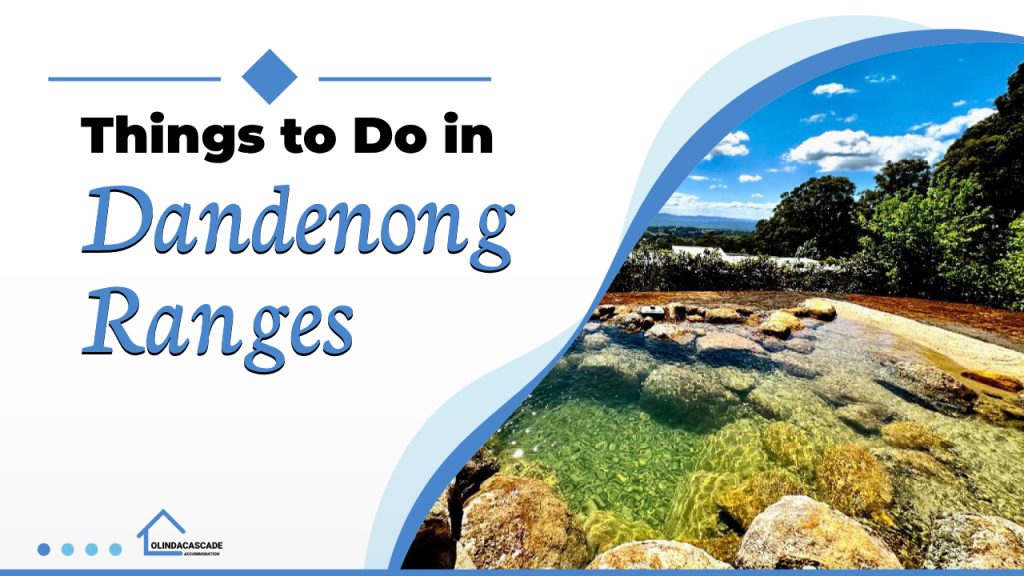 Things to do in the Dandenong Ranges