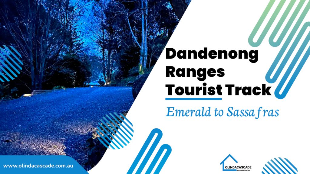 Dandenong Ranges Tourist Track